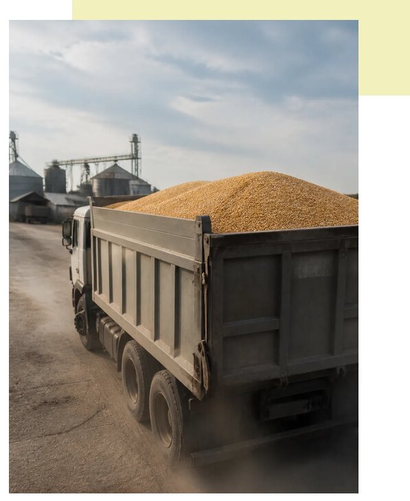 Перевозка сельхозпродукции навалом в Белово по цене от 3258 р. | Агросервис-Блв